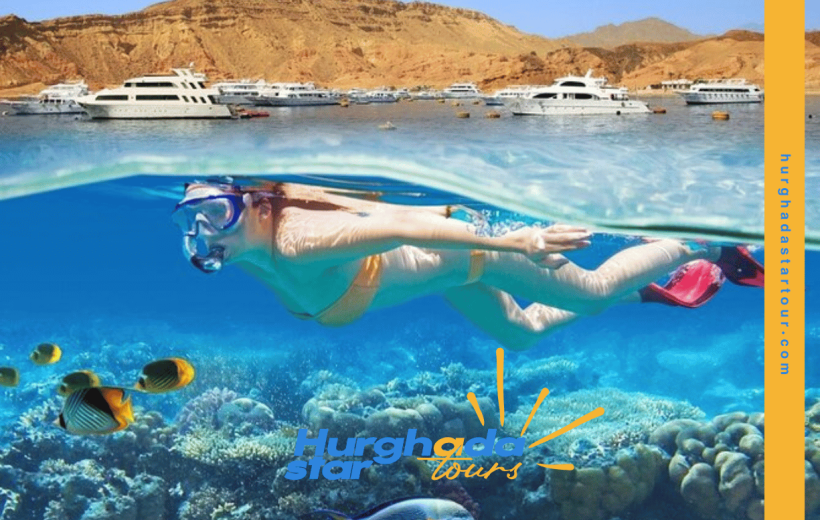 Hula Hula Island + Diving