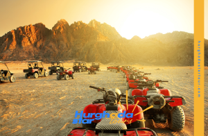 Safari Quad 3h