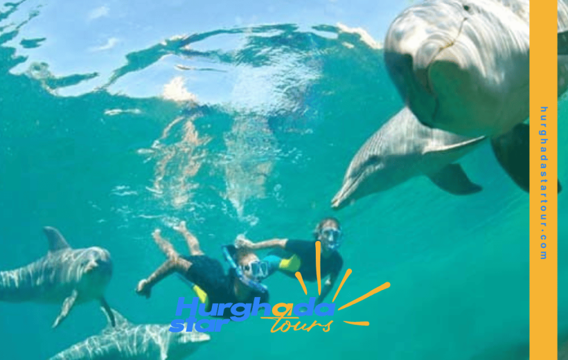 Magawish Island + Diving