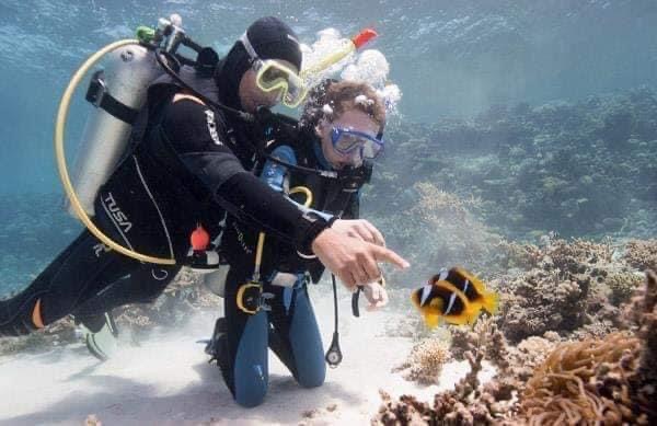Magawish Island + Diving