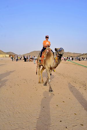 Mine Egypt