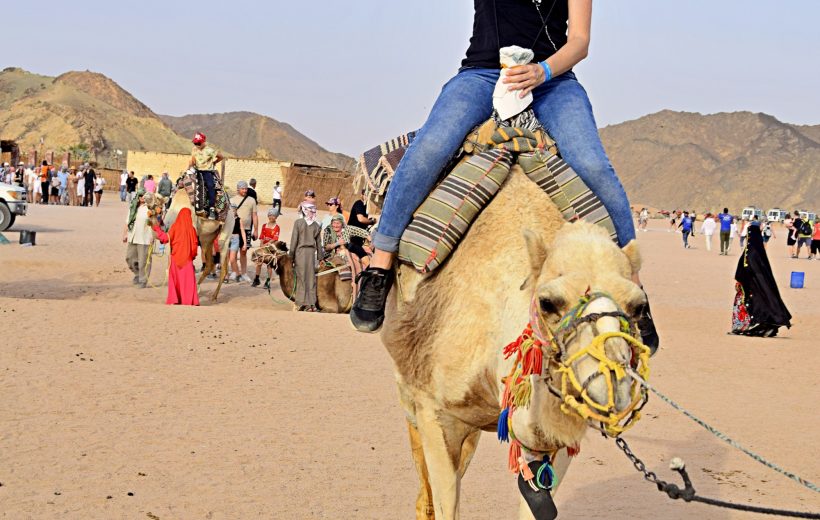 Desert Safari Adventure