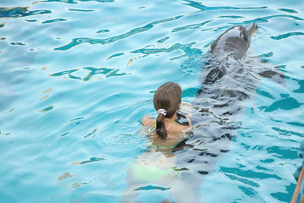 dolphine