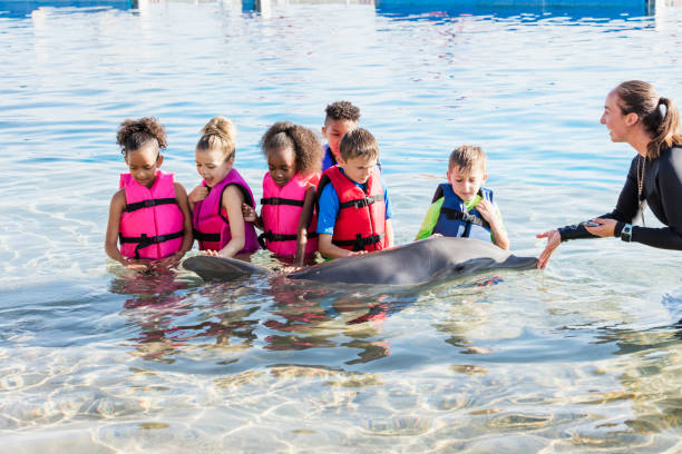 Swimming with Dolphins