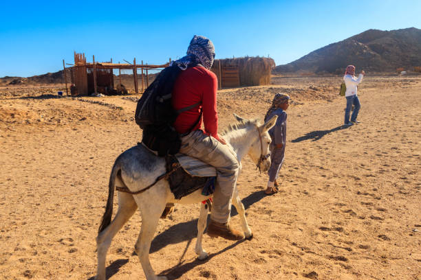 Horse Riding 1 Hour