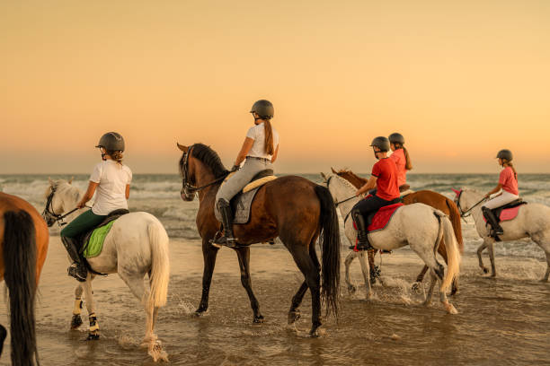 Horse Riding 2 Hours