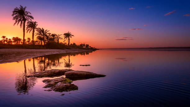 Orange Island